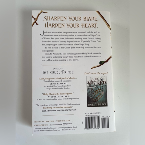 ❤️ SOLD ❤️ The Cruel Prince by Holly Black Paperback Edition - Picture 2 of 4